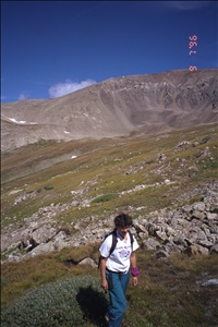 9709 1823 co deerplaneIMG0026.jpg